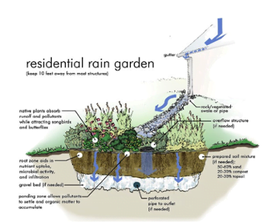 harvest stormwater and Re-use in Urban Areas