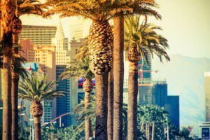 Las Vegas trees stratavault Citygreen