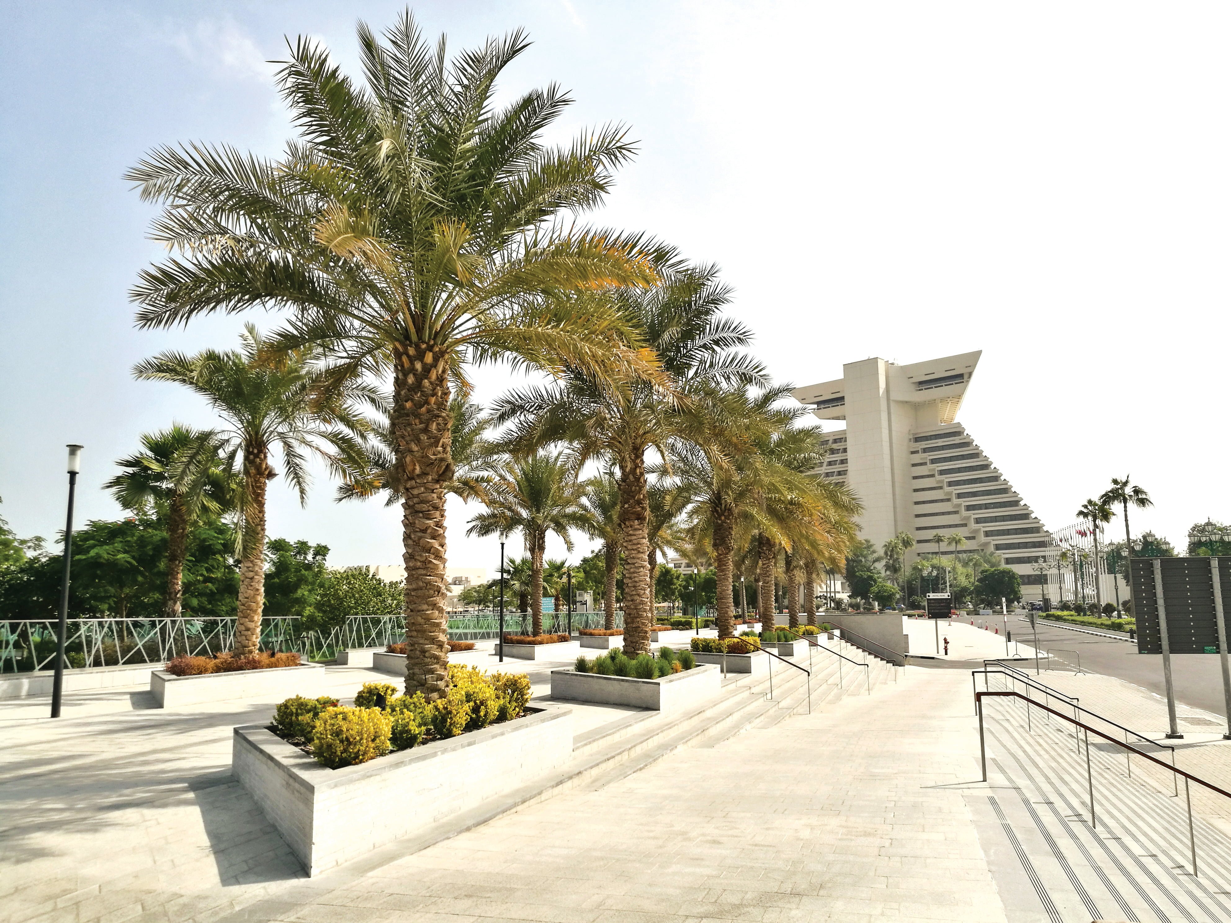 Platipus Case Study Sheraton Park Doha 01 trees Citygreen