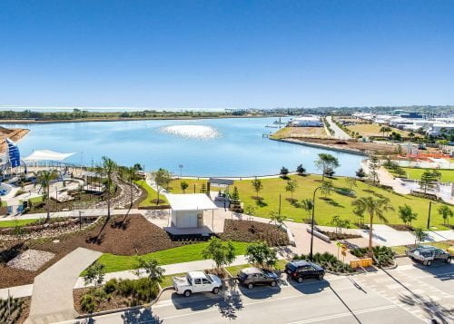 Mature palm trees stand proud at Newport Waterside Park | Citygreen