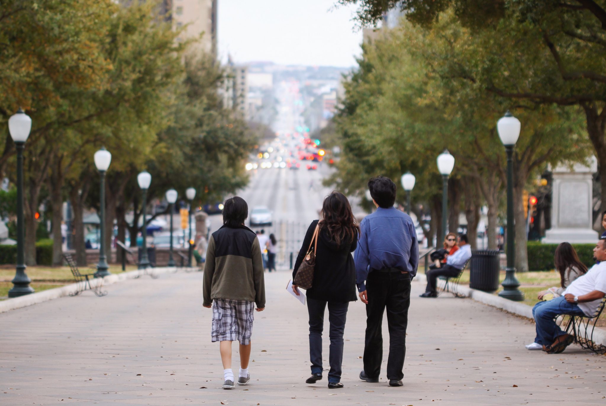 4. Nurture The Roots Of Calgary's Urban Canopy