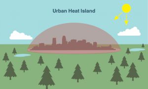 graphic of the urban heat island effect