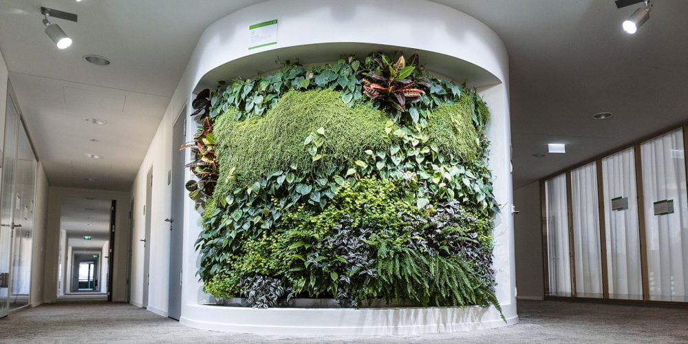 Office Green Walls  Living Walls  Artifical Walls for Offices