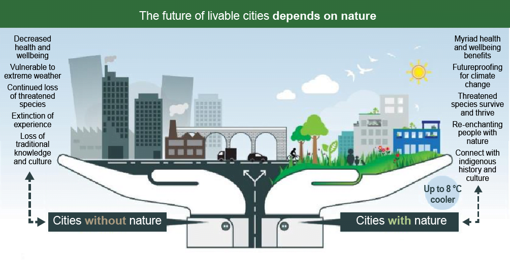 soe2016 bio fig6 future of liveable cities depends on nature plant trees Citygreen