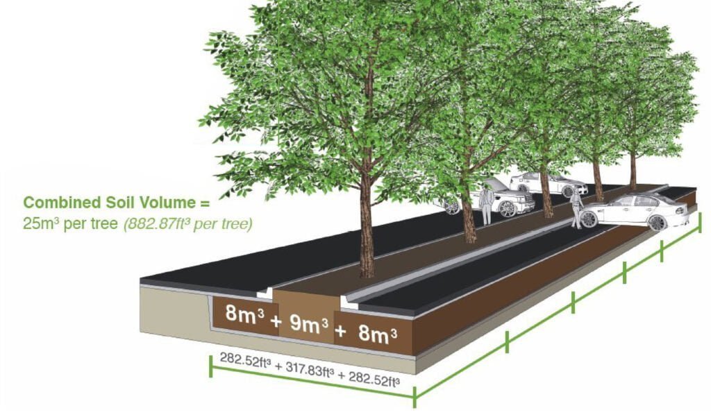 blog 7 trees prevent flooding Citygreen