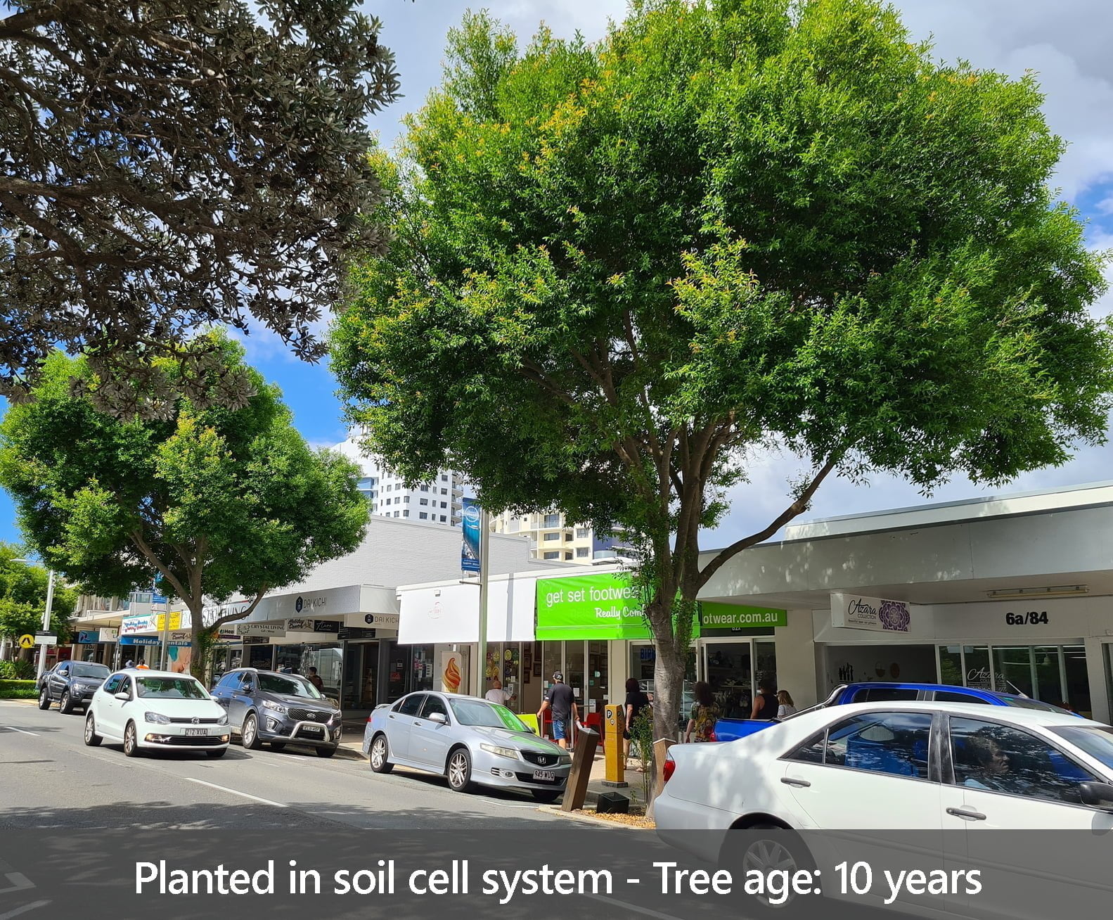 case study new5 Urban Tree Growth Citygreen
