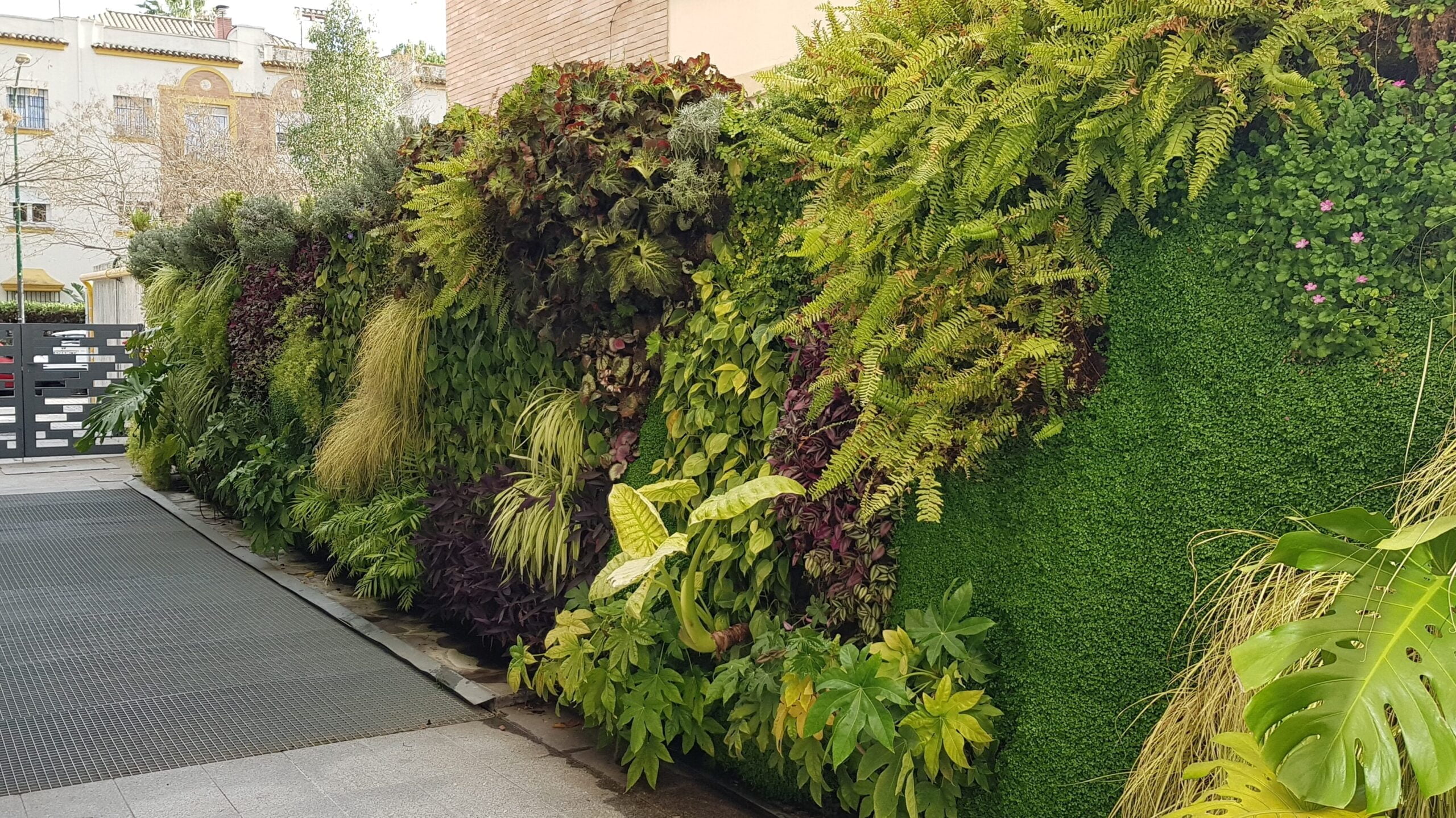 An example of living walls