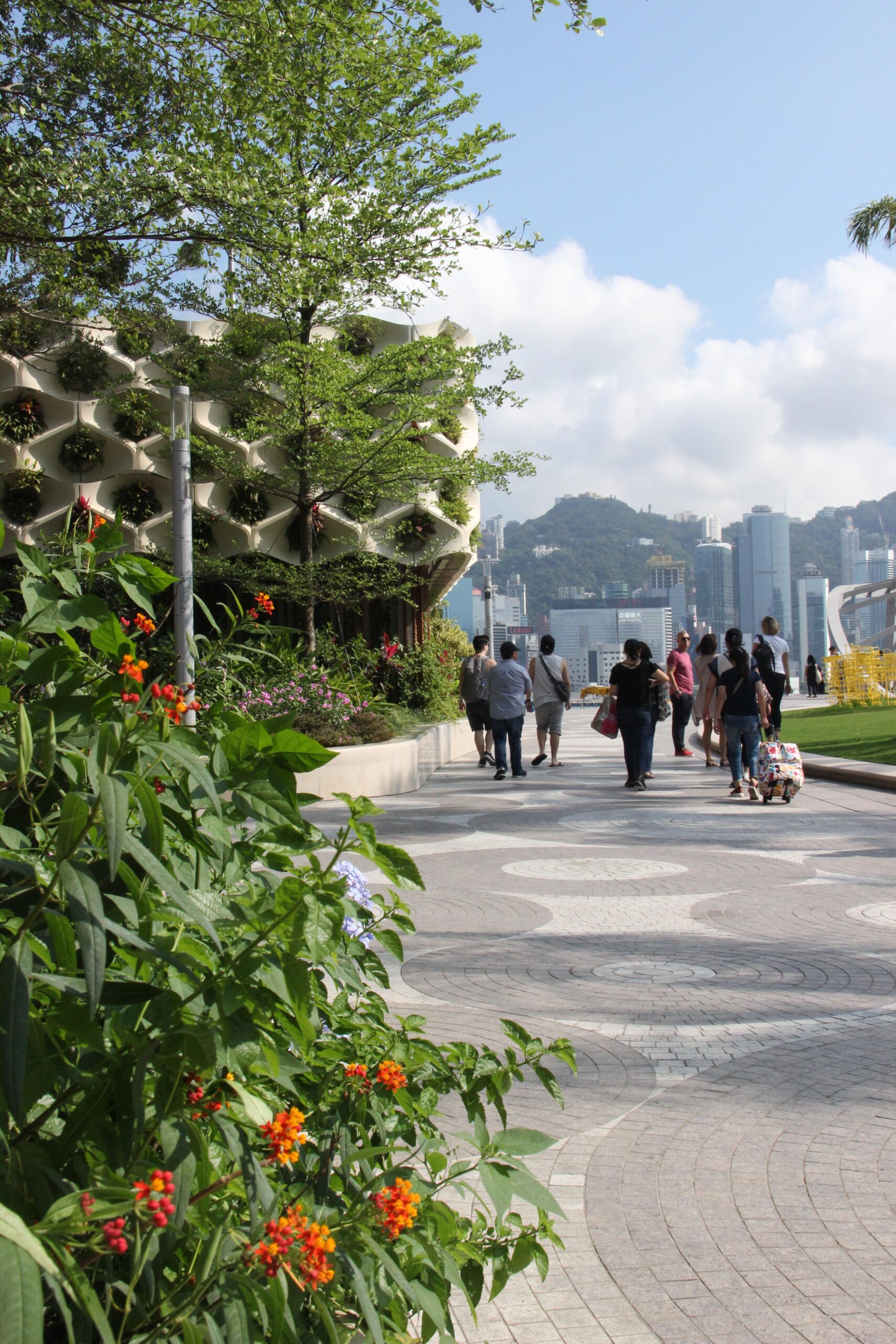 IMG 8268 scaled Tsim Sha Tsui waterfront Citygreen