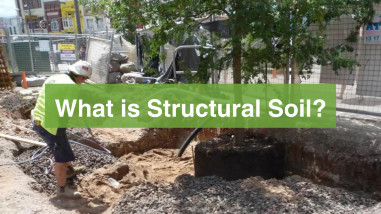 What is Structural Soil feature image
