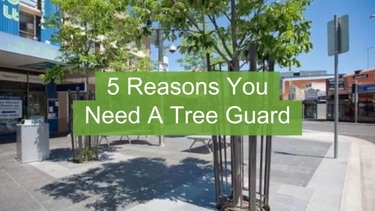 5 REASONS YOU NEED A TREE GUARD FEATURED IMAGE