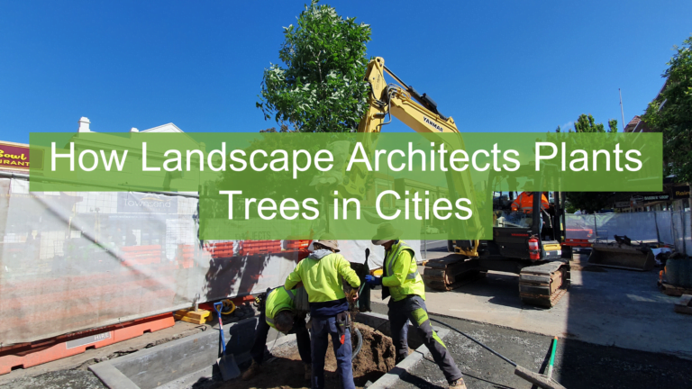How Landscape Architects Plants Trees in Cities trees prevent flooding Citygreen